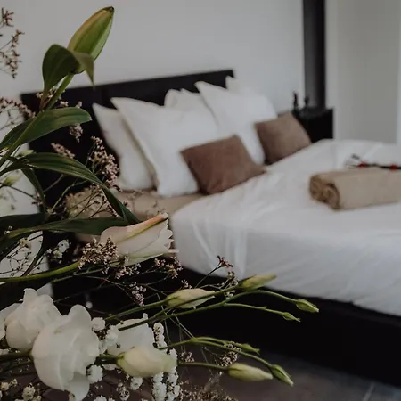 Apartment Luxus-apartment Champagner & *